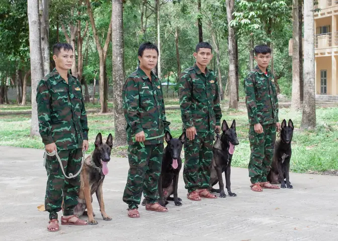 Các Khu Vực Trung Tâm Phục Vụ Quý Khách Hàng