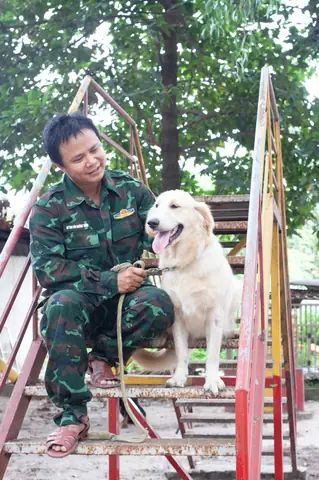 Chúng Tôi Thiết Kế 4 Chương Trình Huấn Luyện Chó Chuyên Biệt