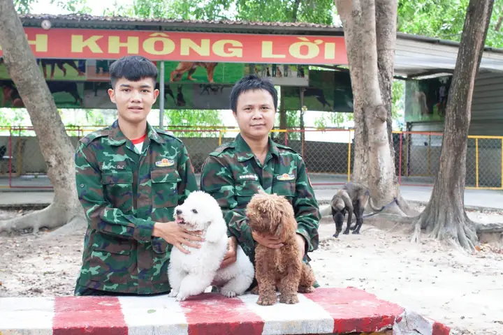 Huấn Luyện Chó Quận 7