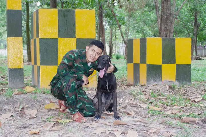 Hình Ảnh Chó Được Huấn Luyện Tại Trung Tâm