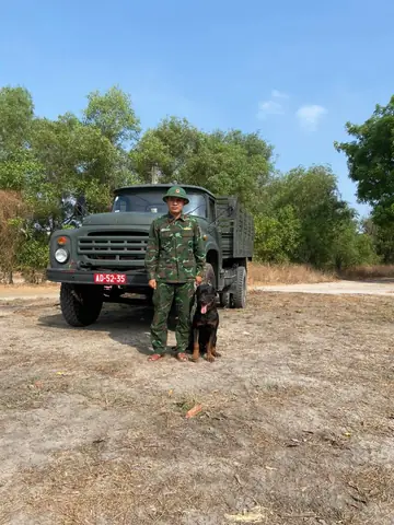 Huấn Luyện Chó Quận 7