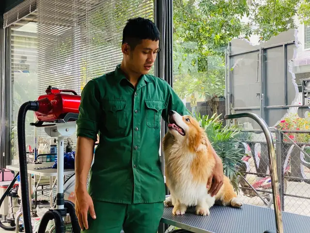 Huấn Luyện Chó Quận 7