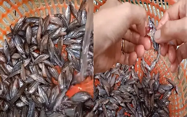 Bước 1: Sơ Chế Cá