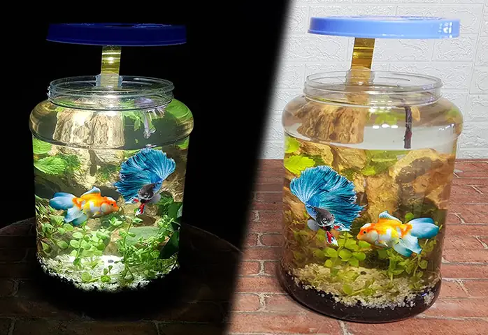 Hướng Dẫn Làm Hồ Nuôi Cá: Kiến Thức Toàn Diện Từ A-z Hướng Dẫn Làm Hồ Nuôi Cá: Kiến Thức Toàn Diện Từ A-z