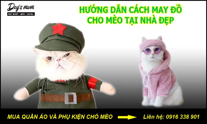 Hướng Dẫn Cách May Đồ Cho Mèo Đơn Giản Tại Nhà