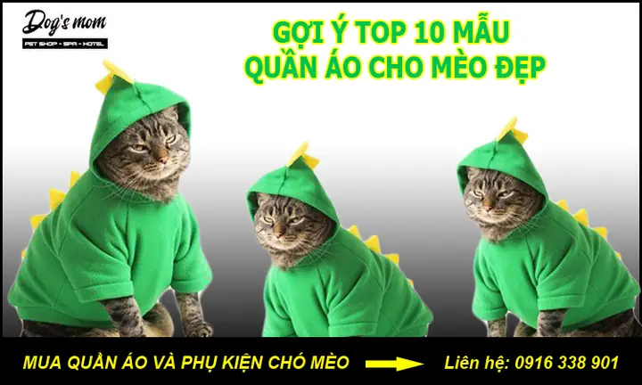 Hướng Dẫn May Quần Áo Cho Chó Mèo