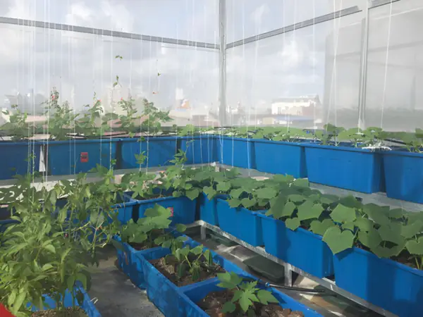 Dụng Cụ Và Vật Liệu Cần Thiết