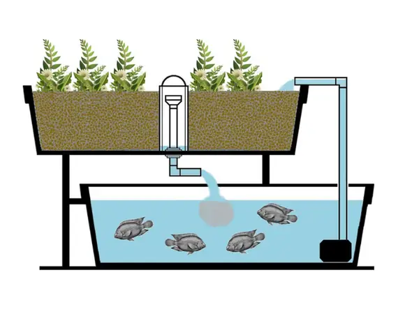 Dụng Cụ Và Vật Liệu Cần Thiết