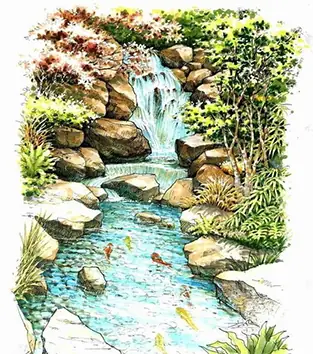 Hồ Cá Koi Thường Được Bố Trí Ở Hướng Đông Nam