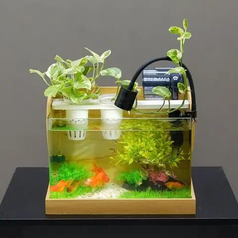 Trọn Bộ Bể Cá Mini Thiết Kế Sẵn - Freeship - Size 37cm ... Trọn Bộ Bể Cá Mini Thiết Kế Sẵn - Freeship - Size 37cm ...