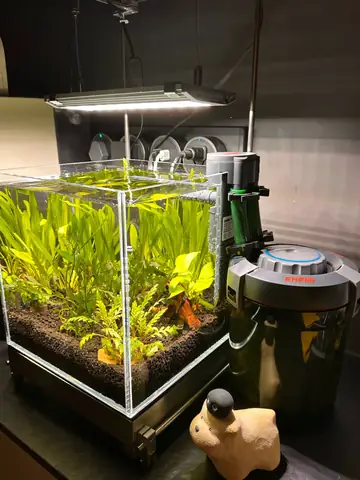 Đặc Điểm Nổi Bật Của Kệ Thuỷ Sinh Inox Desktop