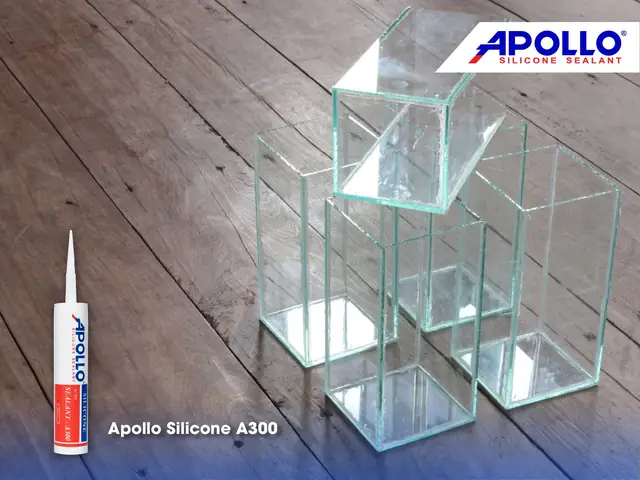 Chất Keo Dán Kính Bể Cá Chuyên Dụng Là Keo Gì? Chất Keo Dán Kính Bể Cá Chuyên Dụng Là Keo Gì?