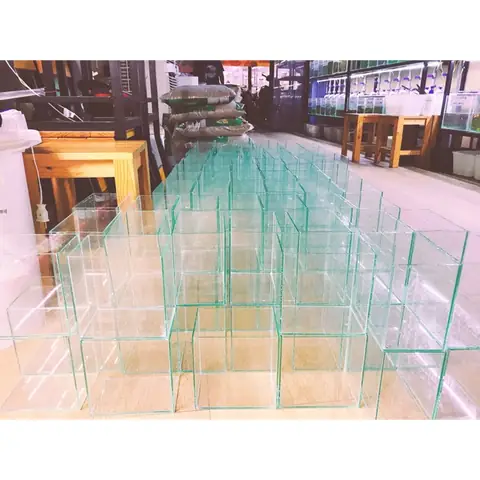 Keo Nuôi Cá Betta: Loại Keo Tốt Nhất Cho Bể Cá Cảnh