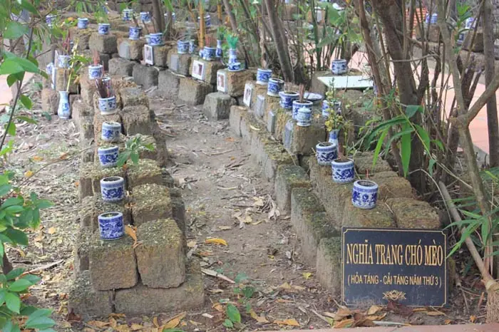 Nghĩa Trang Dành Cho Chó Mèo (ảnh: Hoàng Long)