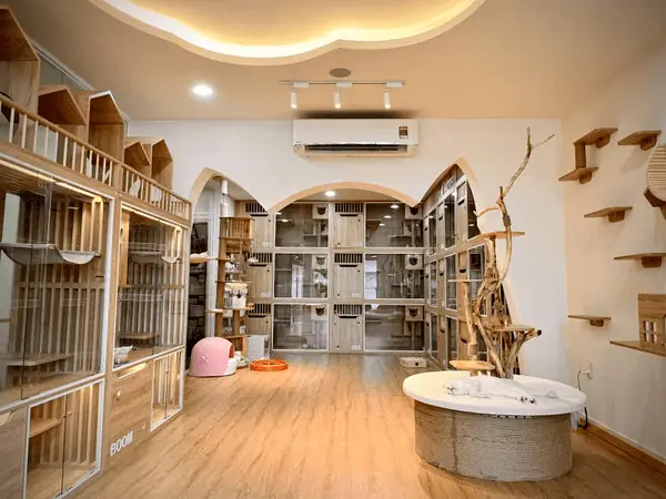 Khách Sạn Cho Chó Mèo Kin Neko Petshop