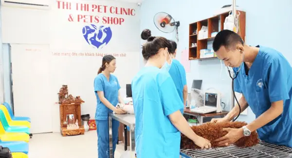 Khách Sạn Cho Thú Cưng Thithi Pet