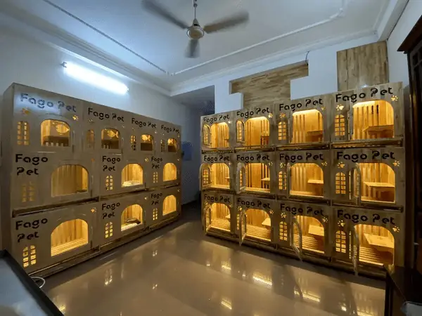 10. Khách Sạn Cho Chó Mèo Ở Tphcm Fagopet