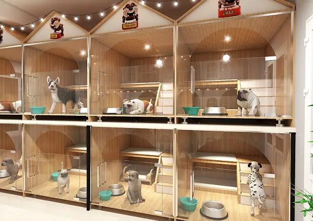 Khách Sạn/ Resort Có Cho Phép Dẫn Theo Vật Nuôi ? Khách Sạn/ Resort Có Cho Phép Dẫn Theo Vật Nuôi ?