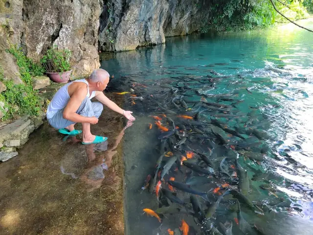 Vị Trí Suối Cá Thần Thanh Hóa