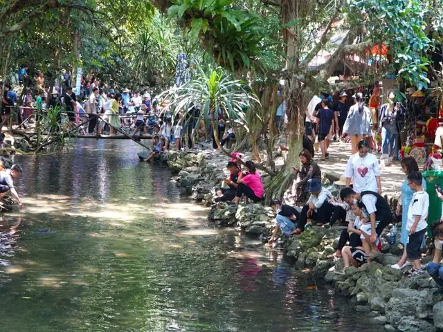 Gợi Ý Lịch Trình Khám Phá Suối Cá Thần Thanh Hóa Trong 1 Ngày