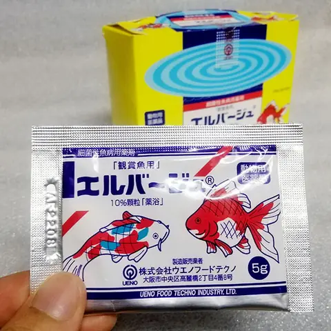 Hướng Dẫn Sử Dụng Kháng Sinh Cho Cá Cảnh: An Toàn Và Hiệu Quả