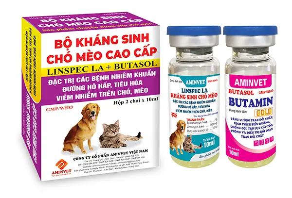 Kháng Sinh Cho Chó Cao Cấp: Hướng Dẫn Chọn Lựa Và Sử Dụng An Toàn