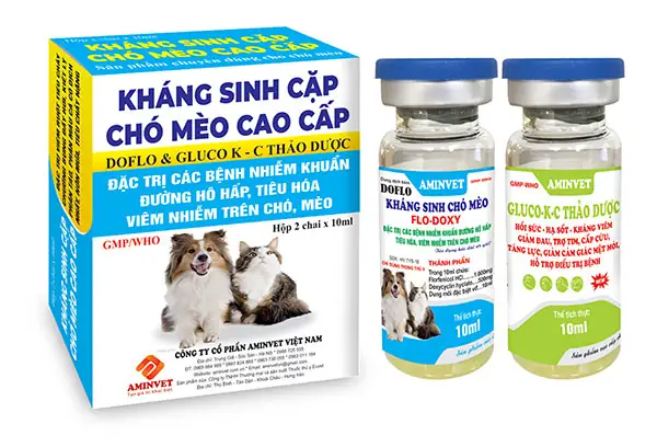 Kháng Sinh Cho Chó Cao Cấp: Hướng Dẫn Chọn Lựa Và Sử Dụng An Toàn