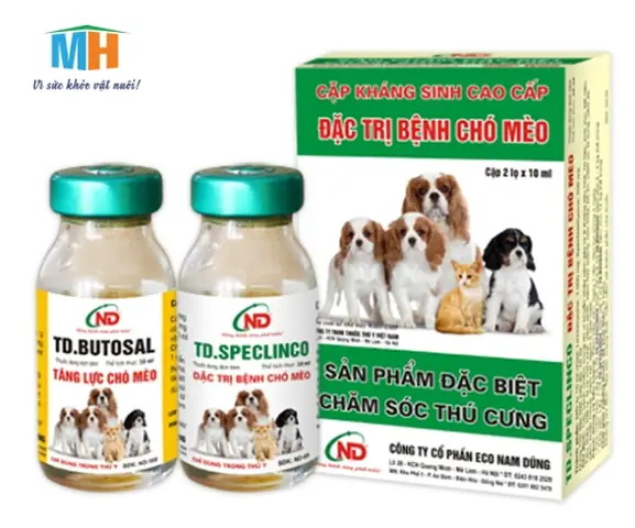 Kháng Sinh Cho Chó Cao Cấp: Hướng Dẫn Chọn Lựa Và Sử Dụng An Toàn