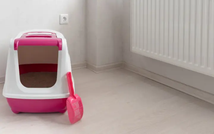 3huấn Luyện Chó Dùng Khay Vệ Sinh