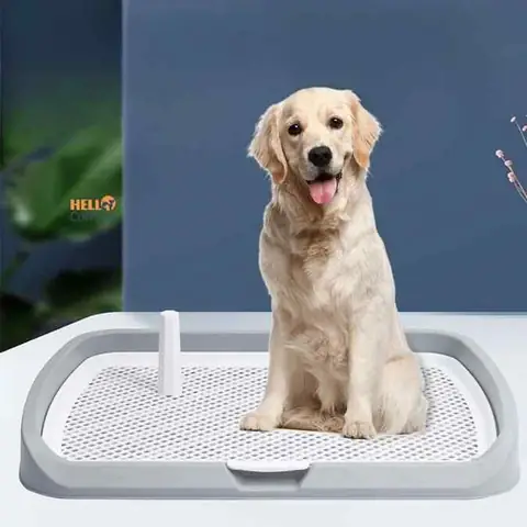 Hướng Dẫn Chọn Và Sử Dụng Khay Vệ Sinh Cho Chó Tại Tp.hcm Hướng Dẫn Chọn Và Sử Dụng Khay Vệ Sinh Cho Chó Tại Tp.hcm