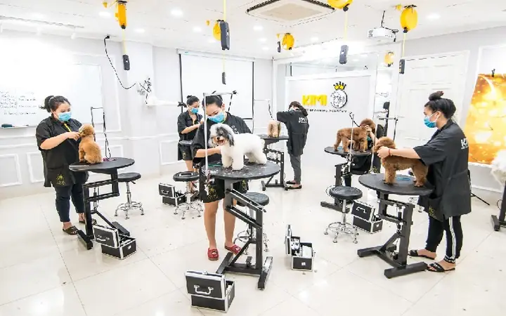 Khoá Học Spa Chó Mèo Chuyên Nghiệp