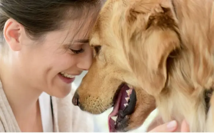 Đối Tượng Tham Gia Khoá Học Spa Thú Cưng