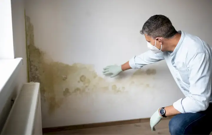 Hướng Dẫn Chi Tiết Cách Khử Mùi Silicon Hồ Cá An Toàn Và Hiệu Quả