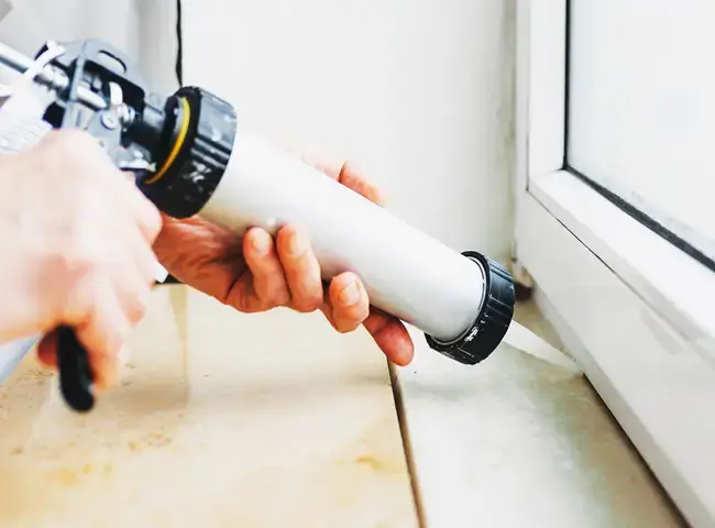 Tác Hại Của Mùi Silicon Đối Với Hồ Cá Và Cá Cảnh