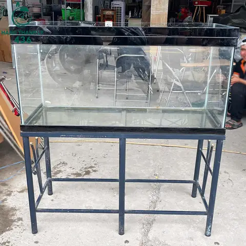 Hồ Cá Cũ Hình Chữ Nhật Khung Sắt Giá Rẻ