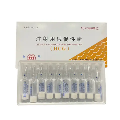 Kích Dục Tố Cho Cá: Hiểu Đúng, Dùng Chuẩn Để Nuôi Trồng Hiệu Quả Và Bền Vững