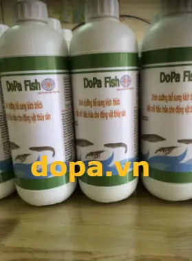 Kích Thích Cá Thèm Ăn