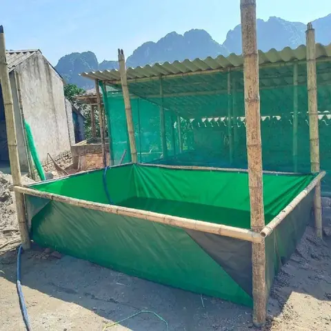 Bể Bạt Nuôi Cá Trê Đa Dạng Kích Thước Hàng Cao Cấp Bể Bạt Nuôi Cá Trê Đa Dạng Kích Thước Hàng Cao Cấp