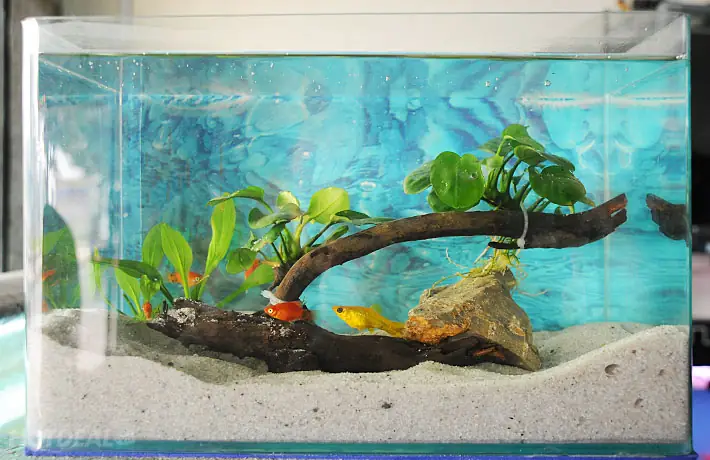 Thông Tin Chi Tiết