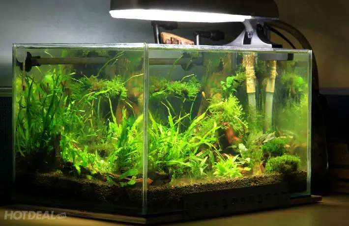 Thông Tin Chi Tiết