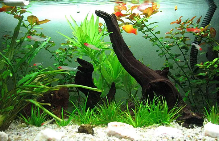 Thông Tin Chi Tiết