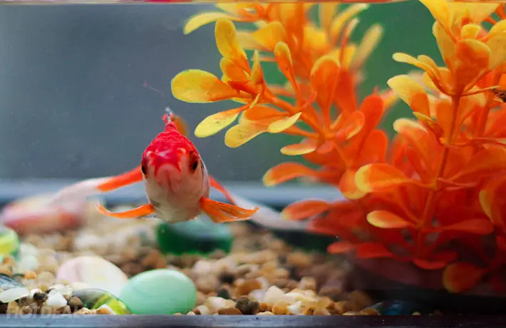 Thông Tin Chi Tiết