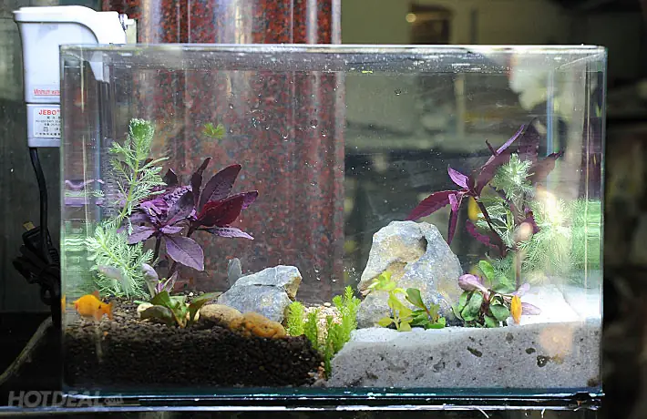 Thông Tin Chi Tiết