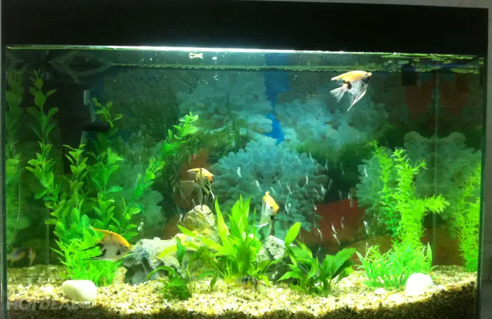 Thông Tin Chi Tiết