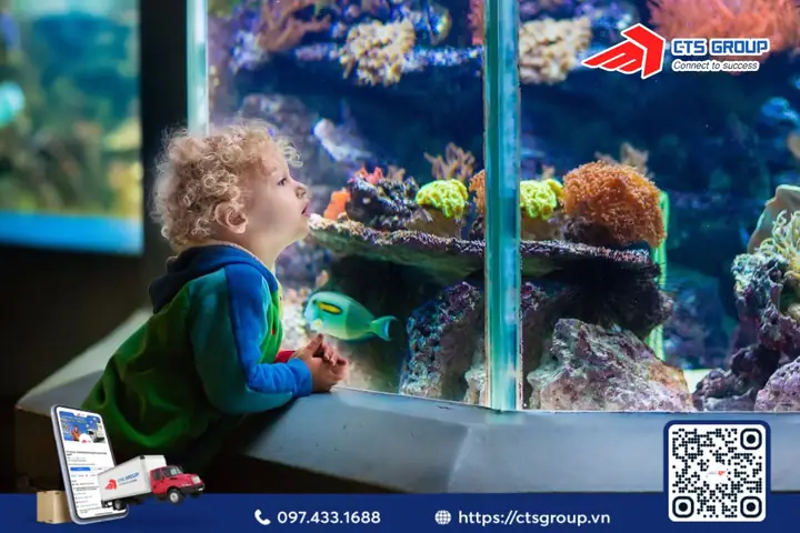 Tiềm Năng Lớn Từ Việc Kinh Doanh Phụ Kiện Thủy Sinh