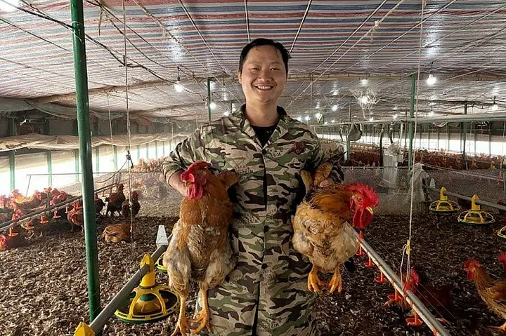 Kinh Nghiệm Nuôi Cá Trâm: Hướng Dẫn Toàn Diện Từ Chuyên Gia