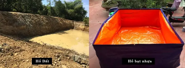 Quy Trình Thả Nuôi Bobo