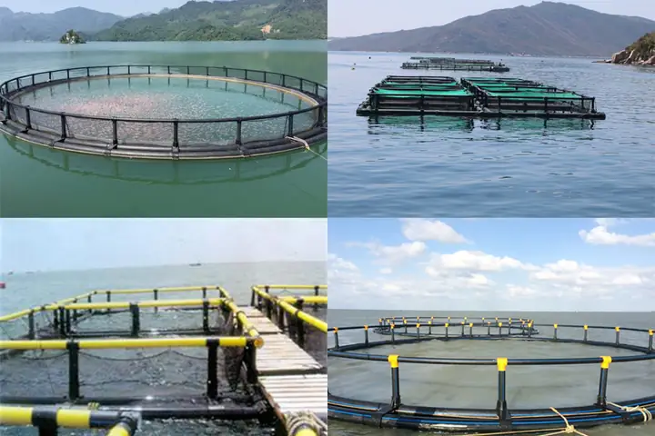 Thiết Kế Và Xây Dựng Lồng Nuôi