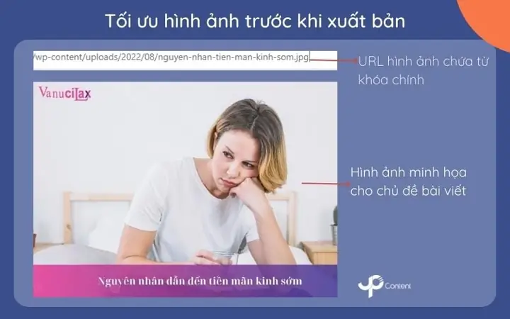 Bước 8: Tìm Ảnh Thiết Kế Phù Hợp
