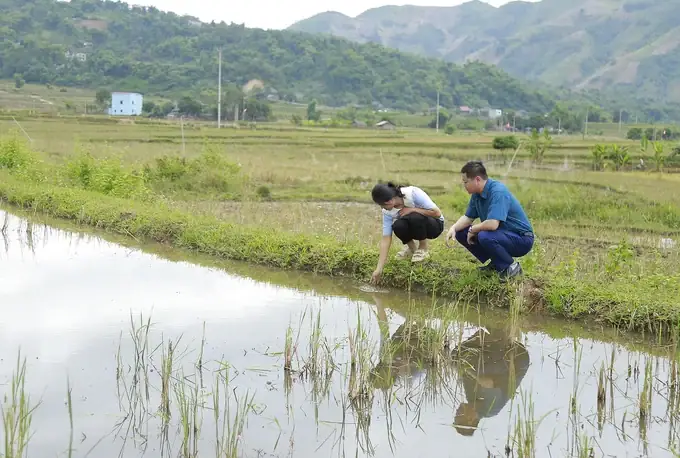 Bà Con Nông Dân Lấy Nước Vào Ruộng Dưới Sự Hướng Dẫn Của Cán Bộ Kỹ Thuật Để Thả Cá. Ảnh: H.đ.